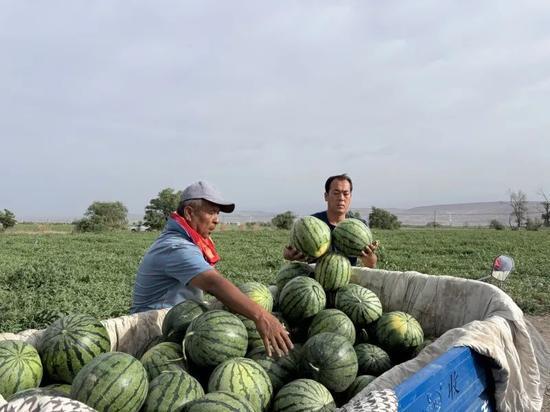 产房吃瓜,产房里的温馨“吃瓜”时光