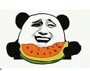 吃瓜群众里的老婆,揭秘娱乐圈背后的婚姻真相