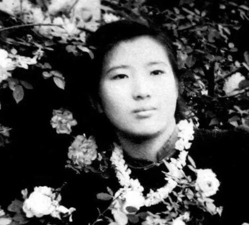 宋明星台下吃瓜,娱乐圈的“看客”生活