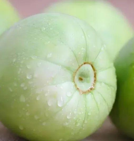 带大家吃瓜,带你领略娱乐圈的“瓜田”盛景