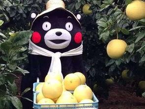 亲近大自然吃瓜,共享瓜果飘香时光