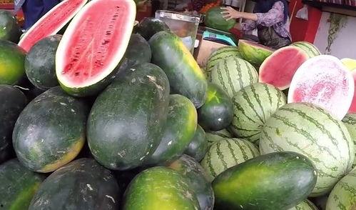 吃瓜的国家有哪些,全球“吃瓜”现象的多元文化解读