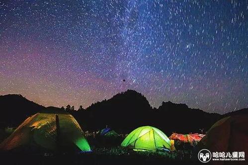 夜空吃瓜帐篷后续,揭秘神秘露营体验背后的故事