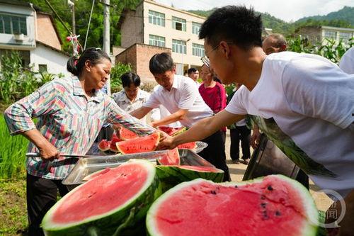 热闹吃瓜,揭秘娱乐圈幕后故事