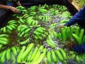 仅供参考理智吃瓜,仅供参考，揭秘网络舆论背后的真相