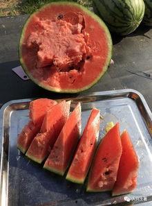 吃瓜网红太古里,太古里网红吃瓜风云录