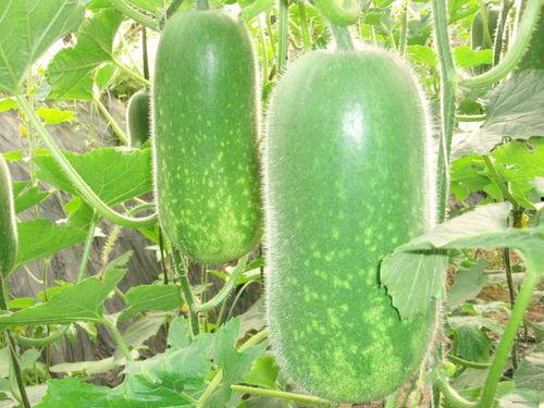 avtt吃瓜,娱乐圈最新热点事件深度剖析