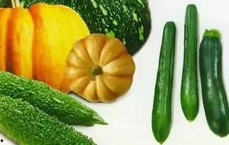 吃瓜需要拜瓜吗,揭秘拜瓜的奥秘与必要性