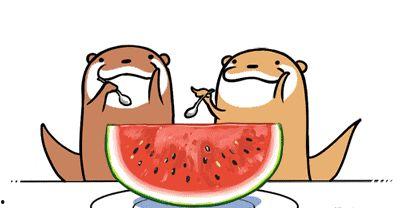 吃瓜不打烊全部,揭秘娱乐圈幕后故事