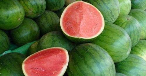 带大家吃瓜,带你领略娱乐圈的“瓜田”盛景