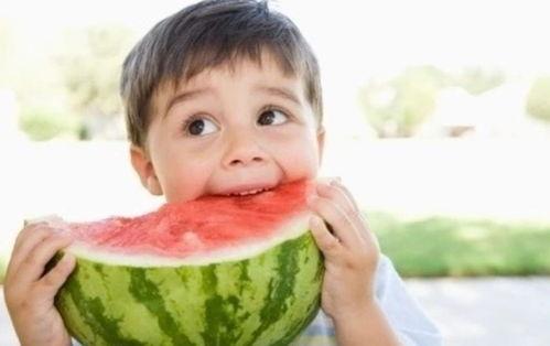 猴娃吃瓜,揭秘热带雨林中的神秘食客