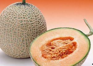 肾癌吃哈密瓜好吗,肾癌患者食用哈密瓜的适宜性探讨
