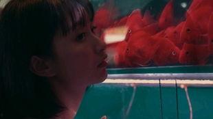 闲散的吃瓜少女,闲散吃瓜少女的日常趣事