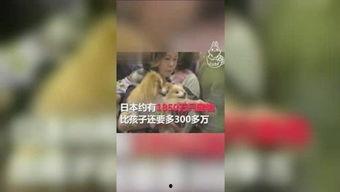 吃瓜星球掏吗,掏吗背后的秘密与奇闻异事