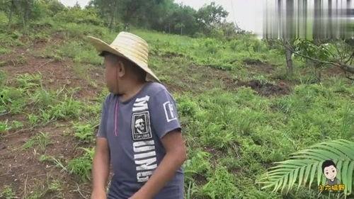 吃瓜心情愉悦,尽享愉悦时光