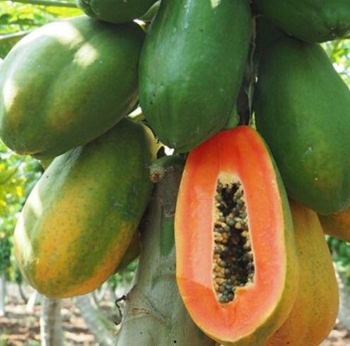 热门排行吃瓜,带你领略娱乐圈风云变幻