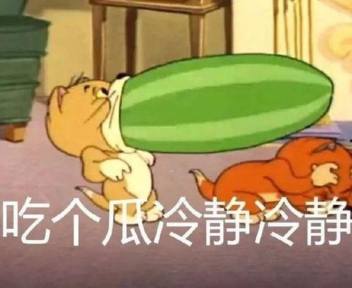猫和老鼠老鼠吃瓜,老鼠吃瓜背后的欢乐与智慧