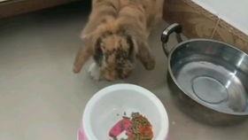 抠脚大汉吃瓜,揭秘娱乐圈幕后故事