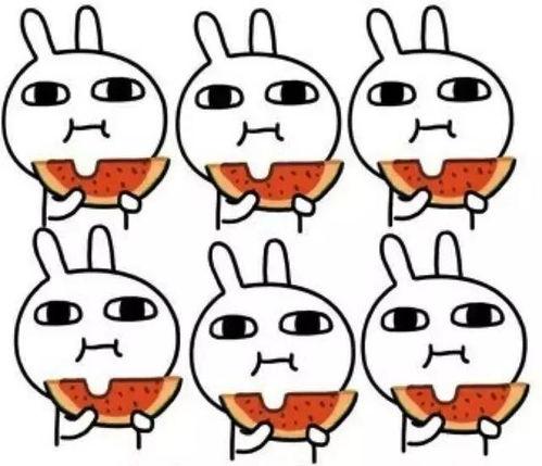 配齐吃瓜,解锁夏日清凉新姿势！