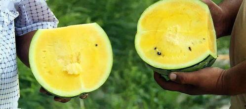 天津融媒体吃瓜,揭秘吃瓜群众的网络狂欢