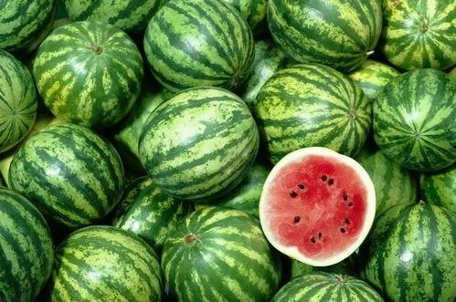 吃瓜人的现状,时代变迁下的社会观察与反思