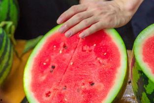 江苏学校吃瓜,揭秘校园里的那些事儿