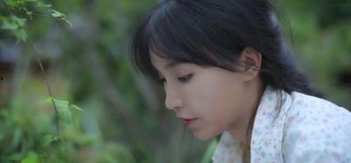 吃瓜盟主李子柒,吃瓜盟主，田园生活的诗意演绎