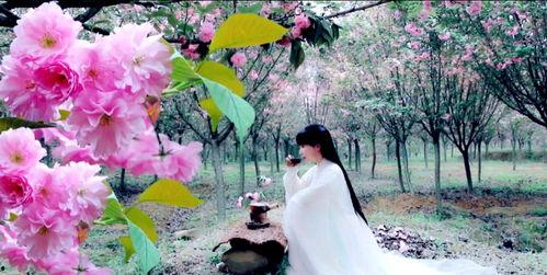 吃瓜盟主李子柒,吃瓜盟主，田园生活的诗意演绎