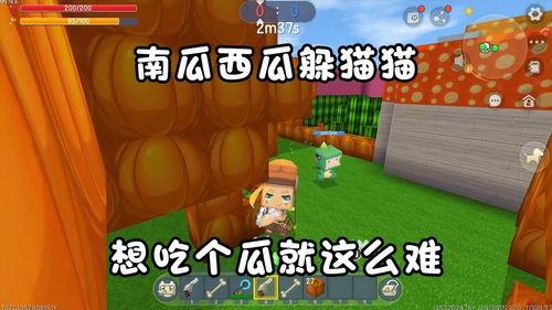 迷你世界吃瓜图片,吃瓜群众欢乐多，趣味瞬间尽收眼底