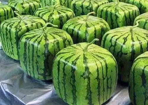 吃瓜的比较多,娱乐圈风云再起