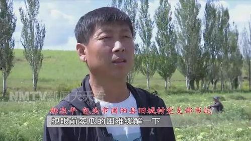 勇敢的吃瓜老王,揭秘娱乐圈背后的故事