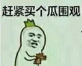 从炮灰到吃瓜群众,见证时代变迁的众生相