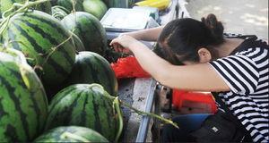 合肥体育老师吃瓜