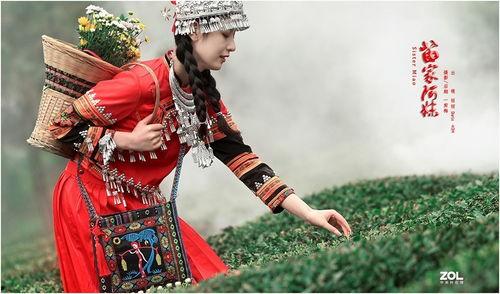 苗家阿妹请你吃瓜原唱