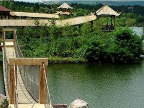 安丘青云湖吃瓜群众