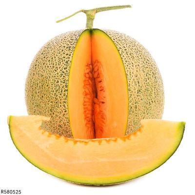 小熊吃哈密瓜,甜蜜冒险记