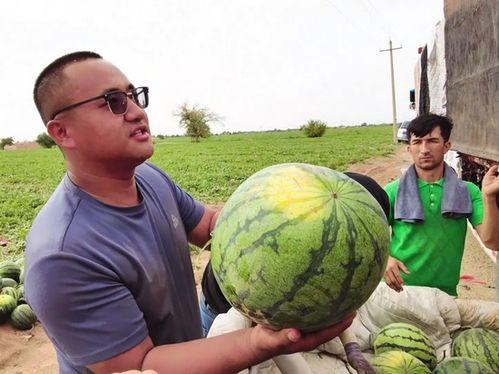 西藏大爷吃瓜图片,展现高原生活风情