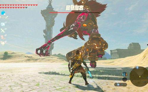 塞尔达吃瓜的女子,探寻她的神秘面纱