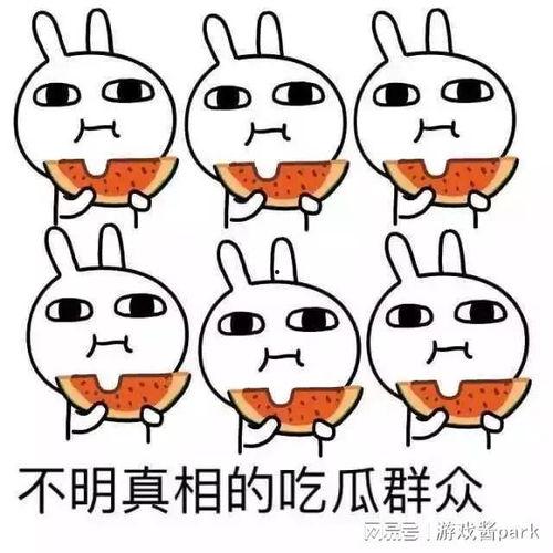 吃瓜地下室,一场别开生面的网络狂欢