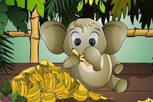 小象在线吃瓜,揭秘网络热点的趣味与真相