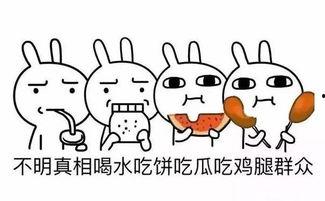 吃瓜群众名字不错,揭秘吃瓜群众背后的故事