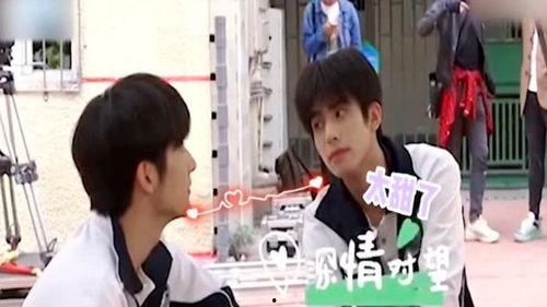 吃瓜摸头的视频,揭秘网络红人的搞笑日常