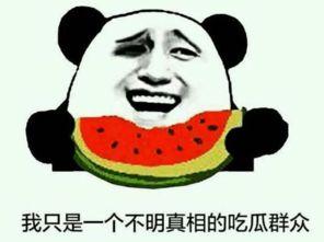718吃瓜域名,一场网络热点的狂欢之旅