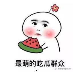 脱粉坐等吃瓜图,揭秘“坐等吃瓜”背后的热点事件