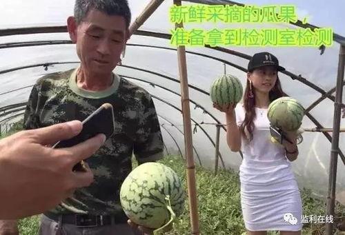 吃瓜群众观,吃瓜群众视角下的明星生活