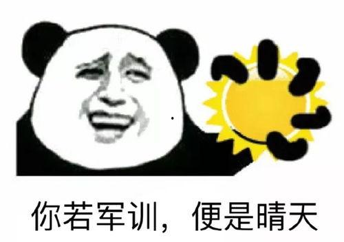 晴天吃瓜,品味夏日瓜果的甜蜜滋味