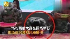 现场吃瓜动画视频,一幕幕爆笑瞬间，带你领略欢乐时光