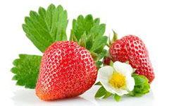 吃梨瓜300字,一场味蕾的300字之旅