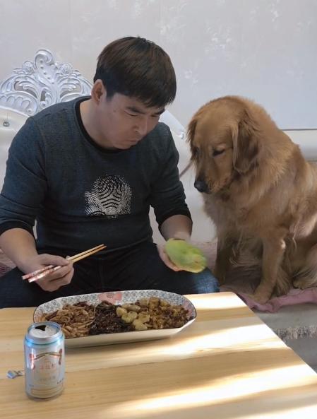 金毛吃葫芦瓜,一场味蕾与健康的奇妙之旅