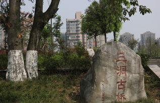 三洞古桥公园吃瓜,夏日吃瓜好去处，古韵与现代的完美邂逅